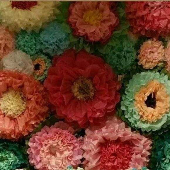 Meet your Posher, Paullina - Picture 1 of 1